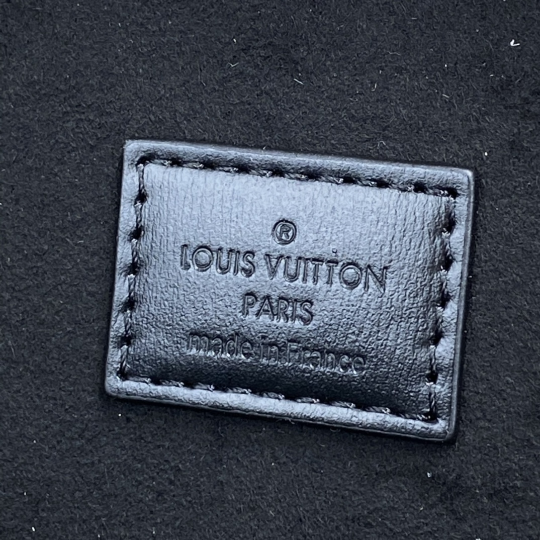 Louis Vuitton CANNES Monogram Case Handbag M43986 